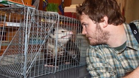 chrisprattawesomesource:  We all know who was braver