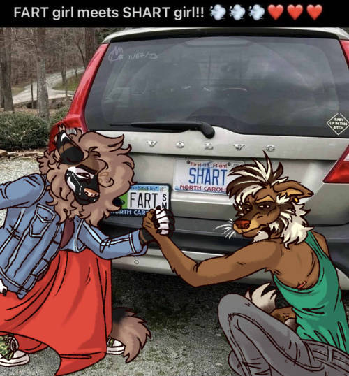 They're Up To Shenanigans, As Per Usual