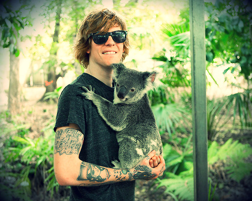 luckerstooomp:  koala time