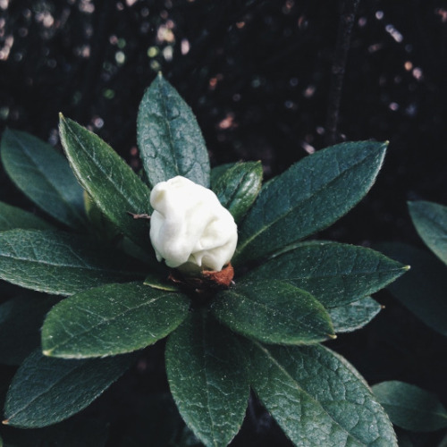 illpicyouup:  March 2nd, 2016