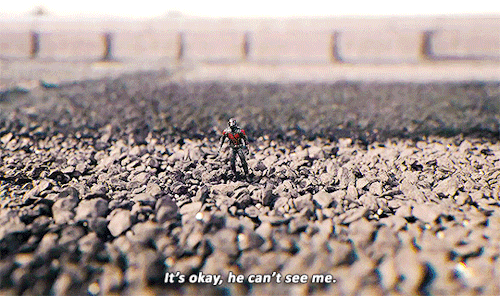 samwilsondaily: Ant-Man (2015) dir. Peyton Reed
