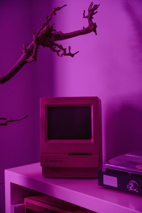 Tumblr media