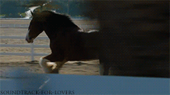 missbackwoodsbarbie:  Makes me tear up EVERY time !! 
