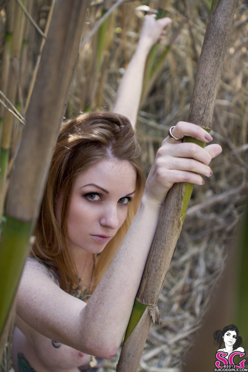 beautifulgirlsmakemesuicidal:  Kemper Suicide 