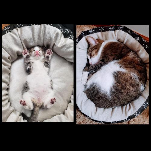 hitmewithcute