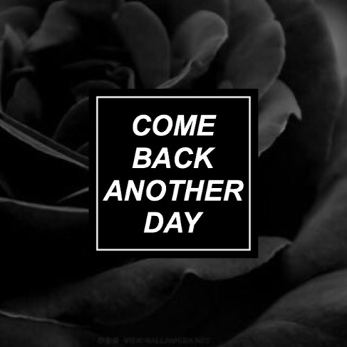 lyricsinthenight:where do we go when we go // neck deep