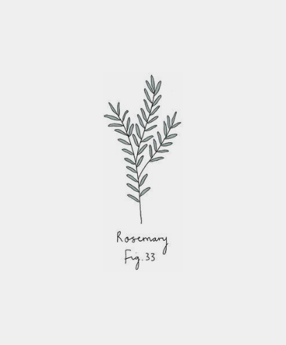 lvgilimency: Herbology, the wizarding equivalent to botany.  Thyme is feminine in nature and associa