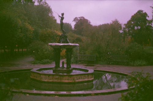 expressions-of-nature:  England by Victoria