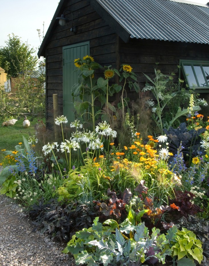 coffee-before-pants:  this is what I’m building in my backyard!
