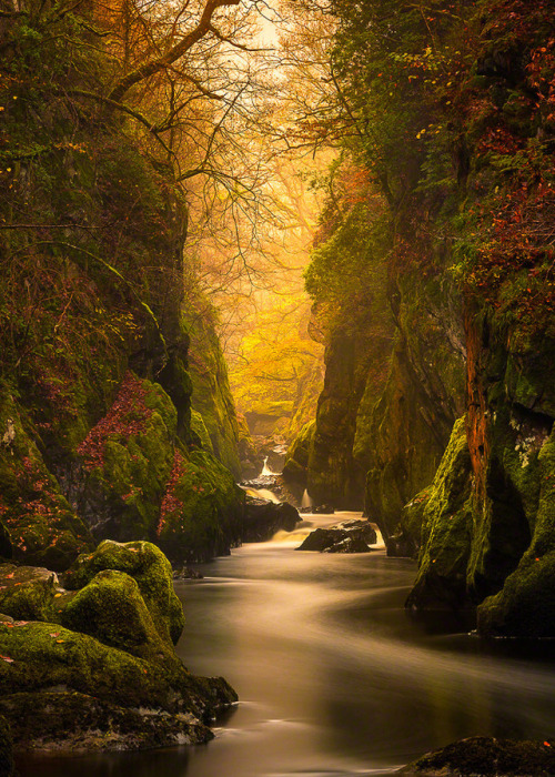 Fairy Glen Gorge, River Conwy ~ Craig McCormick