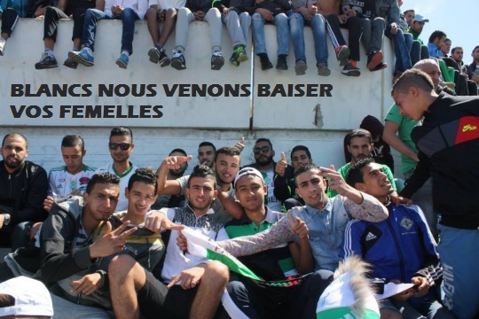 islamisspreading: This is why the immigration of Muslim men is so incredibly important!