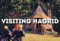 simplypotterheads:&lsquo;Missing Hogwarts was like having a constant stomach ache.&rsquo;Hap