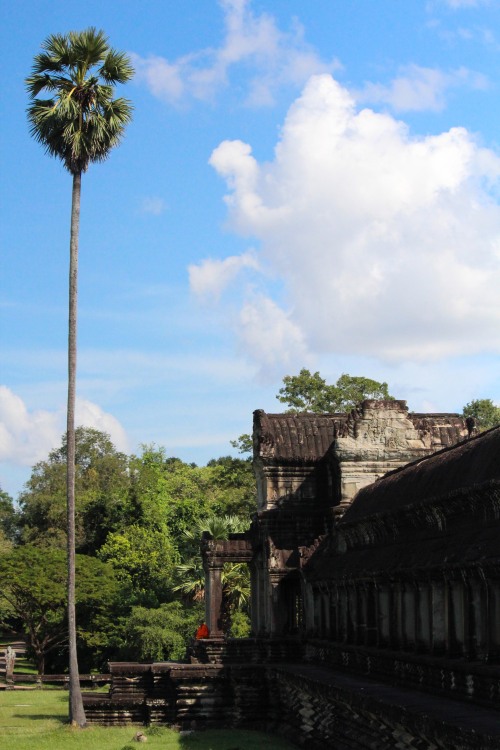 chimmyjin: Angkor Wat, CambodiaBy Chimmy Jin