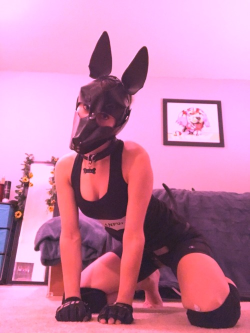 puplaika: My fair lady pup  adult photos