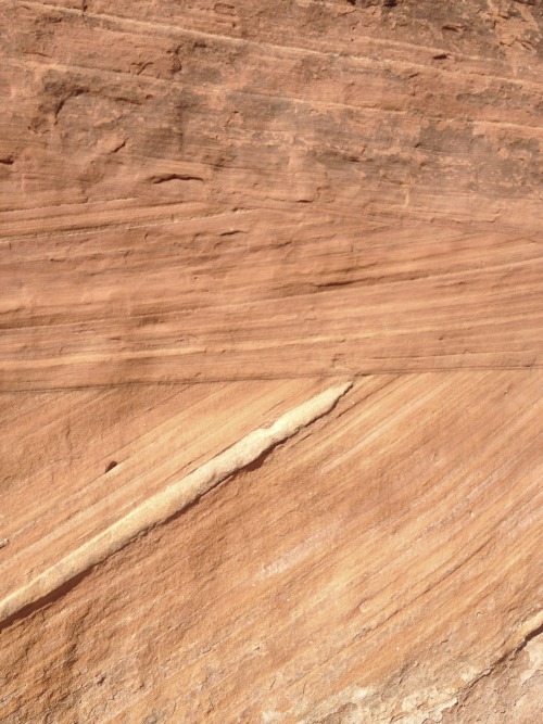 thelandcrab:A canyon wall in Canyon De Chelly, in Arizona. You can see many different sandstone form