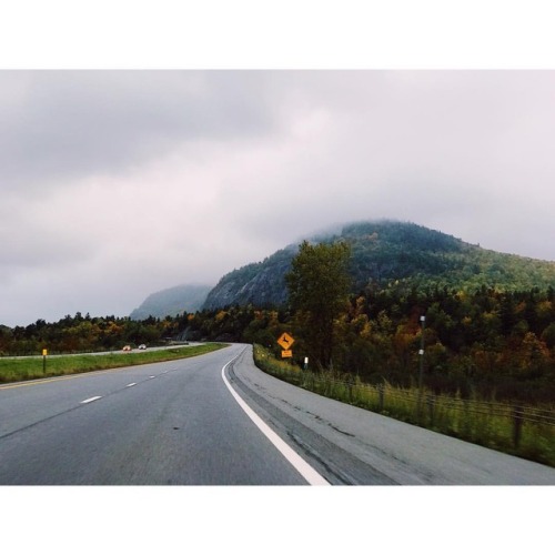 Wide open country road #throwback #foozytravels #foozyinmontreal #roadtrip #happymotoring #minicoop