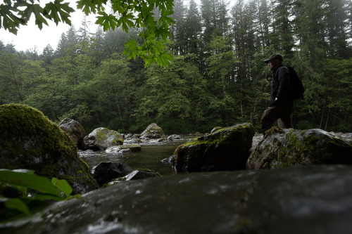 XXX lobo-de-luna: springtime in Western Washington photo