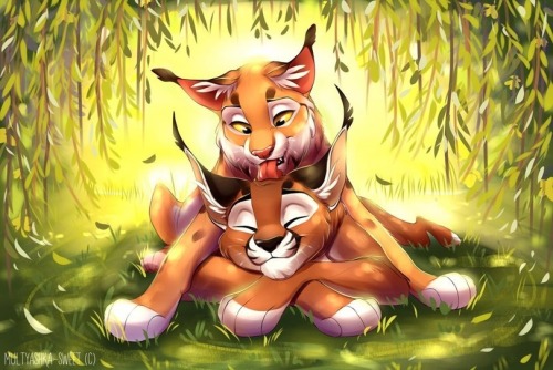nulvuu:Art by Multyashkahttp://img1.reactor.cc/pics/post/full/Multyashka-sweet-furry-MF-furry-art-furry-3082941.jpegD’awww <3