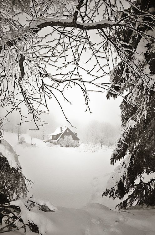 renamonkalou:  A Fairy Tale |  Barbara Wilk   