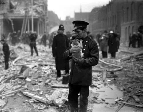 Kitty rescued during the Battle of Britain, World War II.