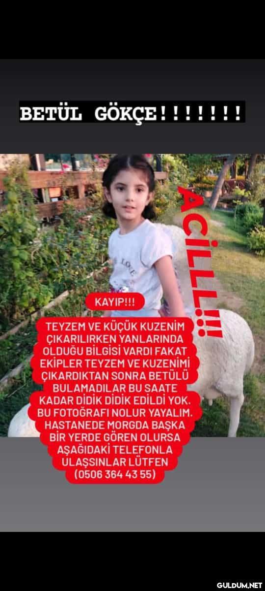 KAYIP ARANIYOR İrtibat :...