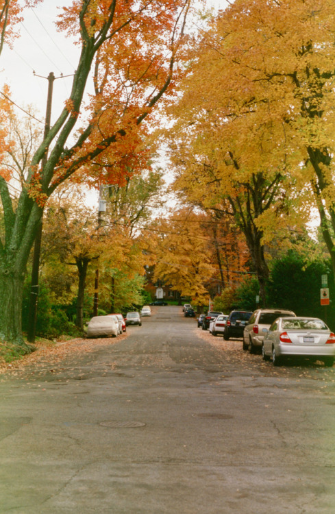 The Old NeighborhoodNW Washington DCShot on 35mm E6 Color Slide Film