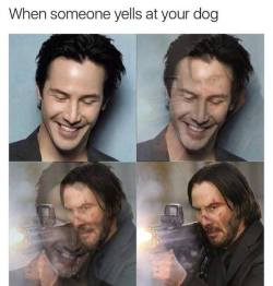 More like when someones dog is untrained