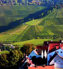 allthingseurope:  Stuttgart, Germany (by roba66)