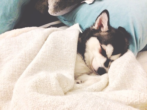 Awww