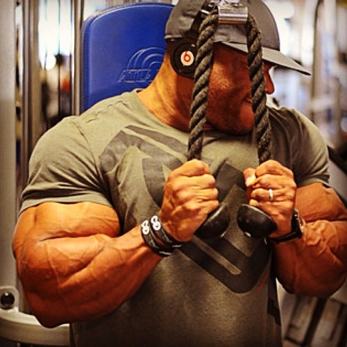 drwannabe:  Phil Heath 