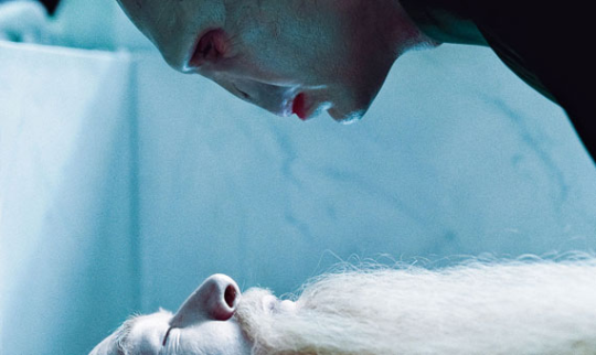 fleamontpotter:  glumshoe:  One of my least favorite shots in the entire Harry Potter franchise is the one where Voldemort is leaning over Dumbledore’s corpse to take the Elder wand. I hate it so much. What is the rest of his body doing? It’s implied