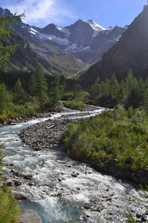 naturalsceneries:  A path near Cogne, Gran Paradiso National Park, the Italian Alps via angelkimne 