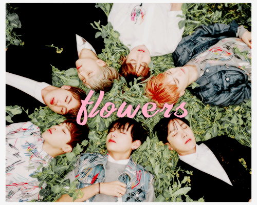baebsaes: bts comeback &gt;&gt; concept photos