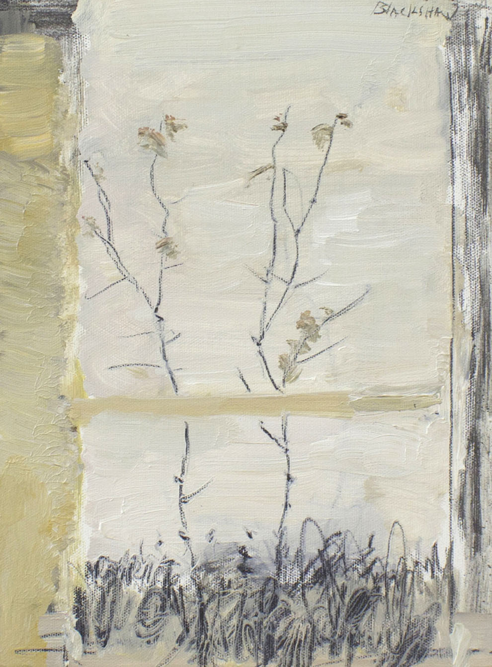 dappledwithshadow:  Basil BlackshawWind