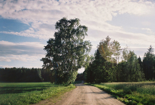 turbinis: last summer by Liis Klammer on Flickr.