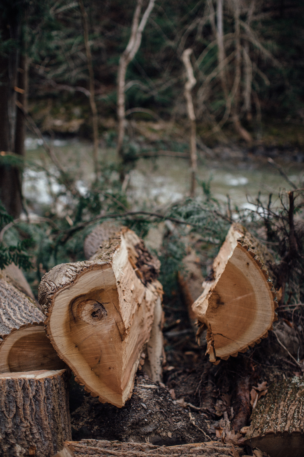 davidmccandless: Leila, lay low.