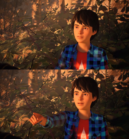 some collages from life is strange 2: ep 1part 2