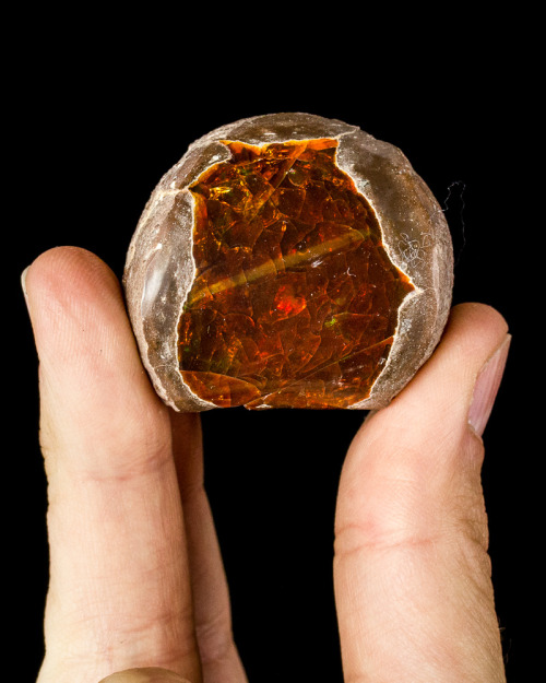 mineralists:Beautiful Ethiopian Fire Opal!
