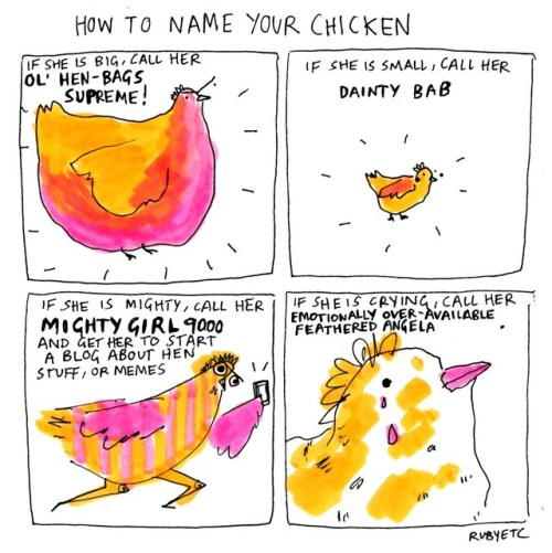 kaaramel: pkmndaisuki: rubyetc: HOW TO NAME YOUR CHICKEN @pacificpikachu @chicken-children