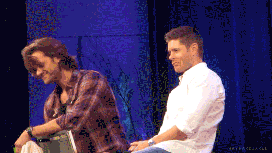 halosammy:  HAPPY 34TH BIRTHDAY JARED TRISTAN PADALECKI (19 JULY 1982)