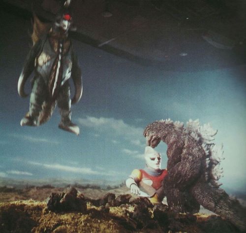 Director: Cut! And That's Lunch!