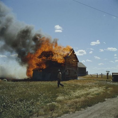 nemfrog: A farmer watches his burning barn, near Tuxford, Saskatchewan. July 1959. Archives Canada. 