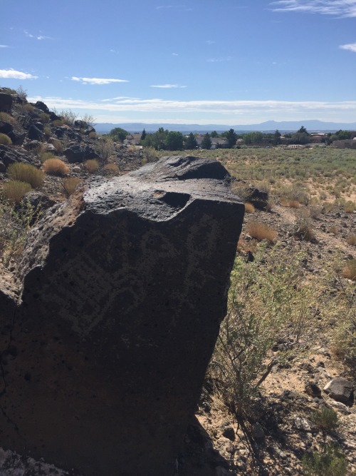 wtfarthistory: Petroglyph National Monument, Albuquerque, New Mexico