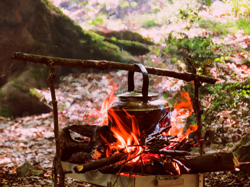 mighphotos:  some awesome tea is on the way.
