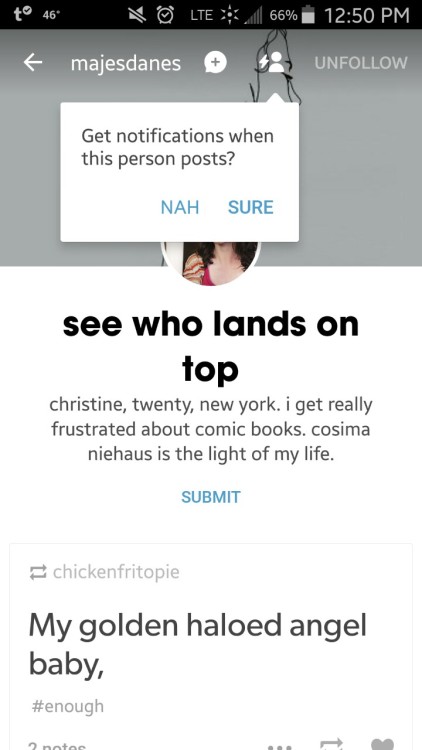 majesdanes:chickenfritopie:let me live tumblrClick Yesi did but then you reblogged something about o