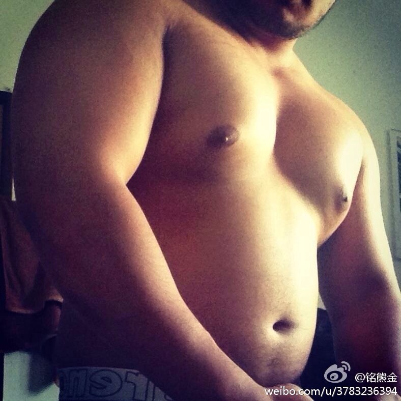 Asia bear