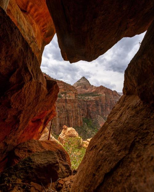 oneshotolive:  Crawling into a nook and finding inspiration. Utah, USA. [oc][1080x1350] @natureprofessor 📷: walkingaswind 