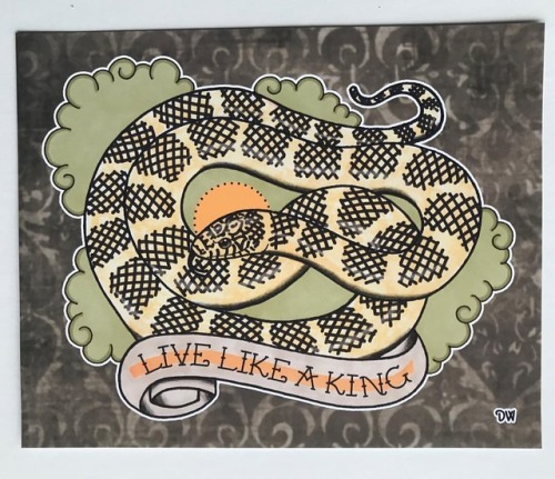 Florida kingsnake prints (8x10), $10 #kingsnake #floridakingsnake #brookskingsnake #lampropeltis #la