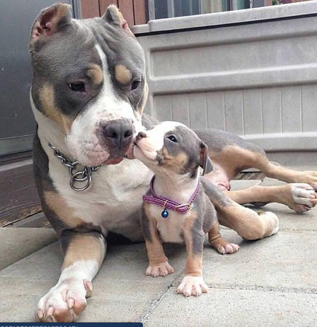 hitmewithcute:  Just a little kiss