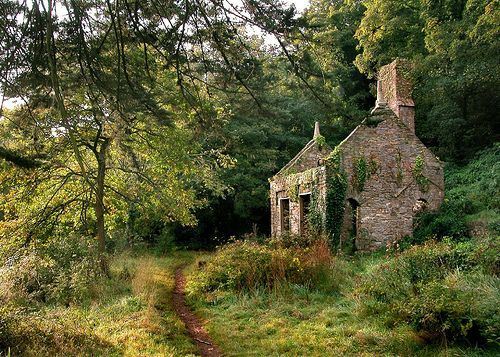 bonitavista:  Devon, England photo via nikoleta 